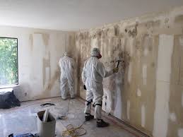 Best Black Mold Removal  in Pittsburg, CA